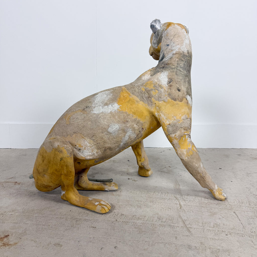 Vintage Cheetah Taxidermy Mannequin by Yves Gaumetou, France