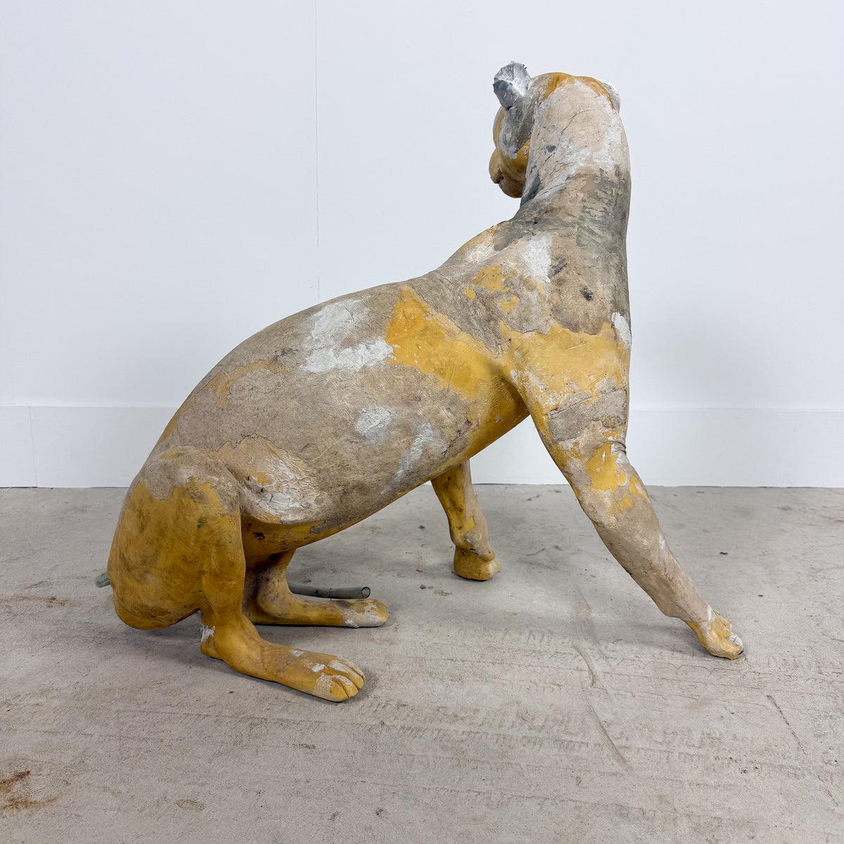 Vintage Cheetah Taxidermy Mannequin by Yves Gaumetou, France