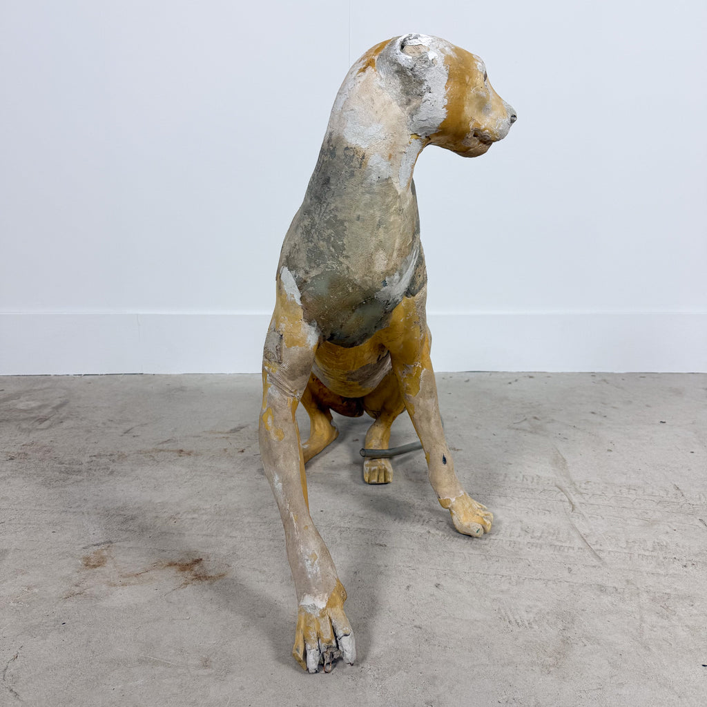 Vintage Cheetah Taxidermy Mannequin by Yves Gaumetou, France
