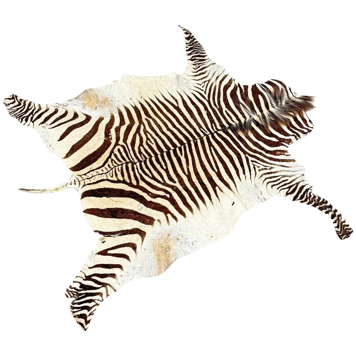 Vintage Authentic Zebra Hide Rug