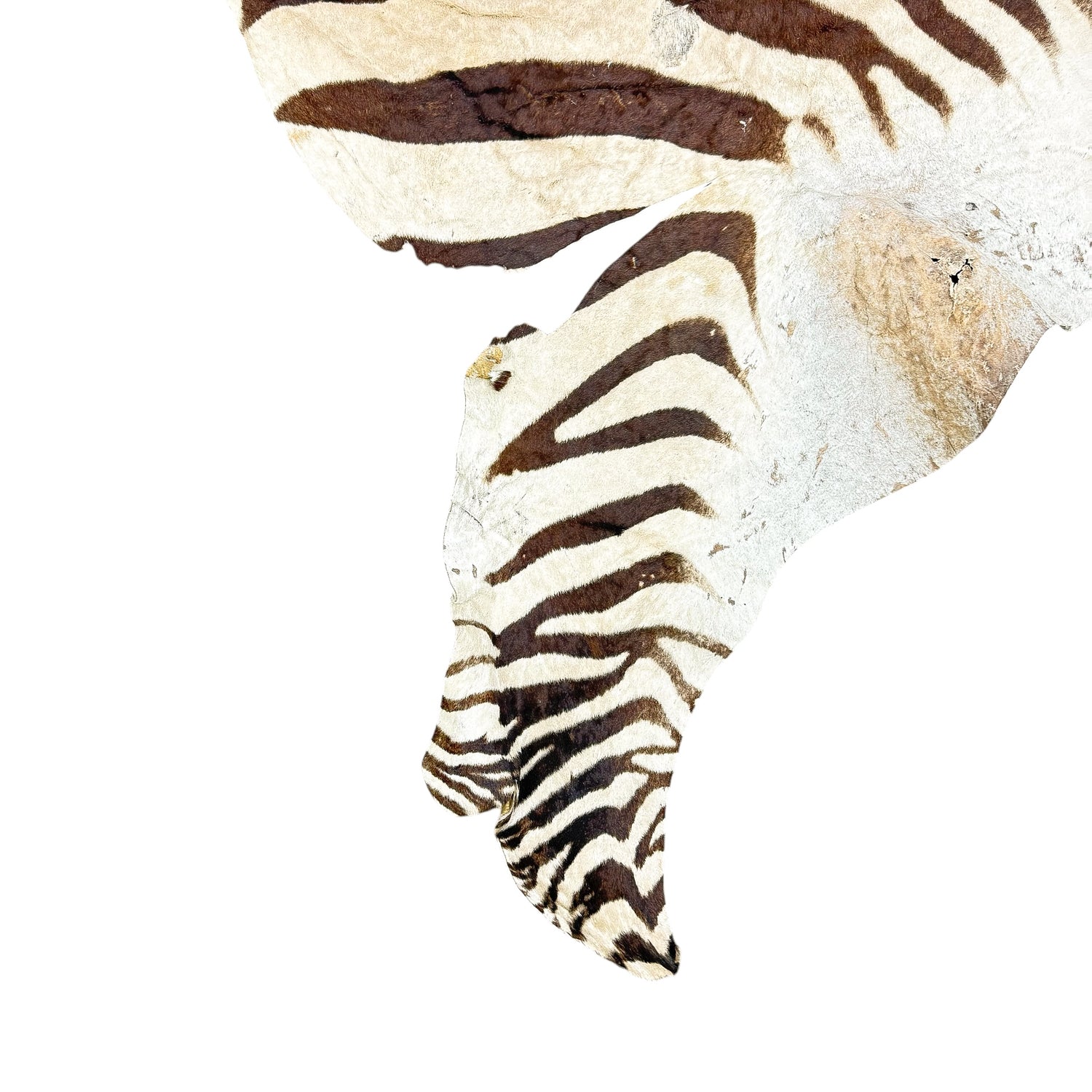 Vintage Authentic Zebra Hide Rug