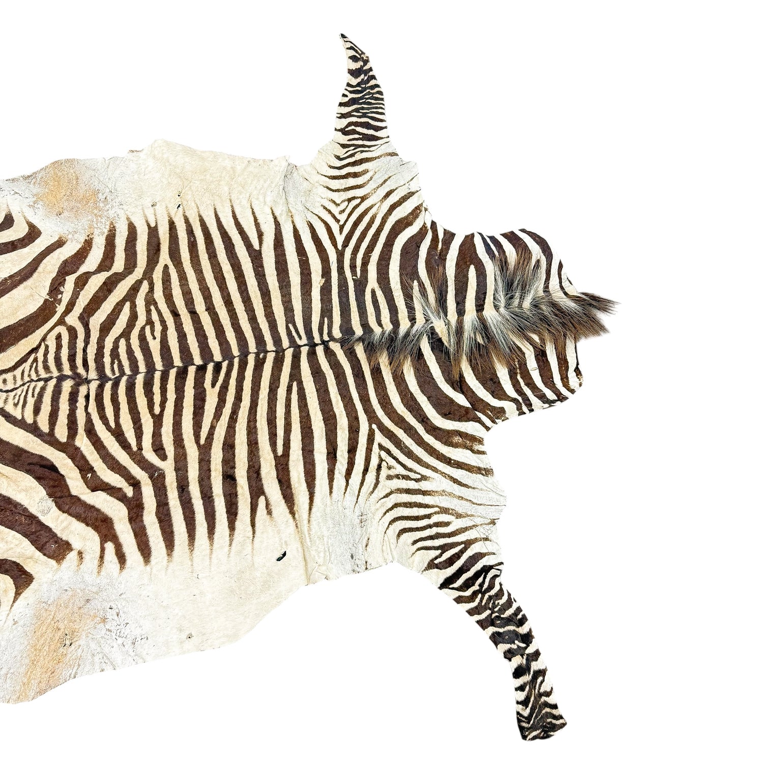 Vintage Authentic Zebra Hide Rug