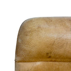 Pair of De Sede DS-50 Leather Lounge Chairs