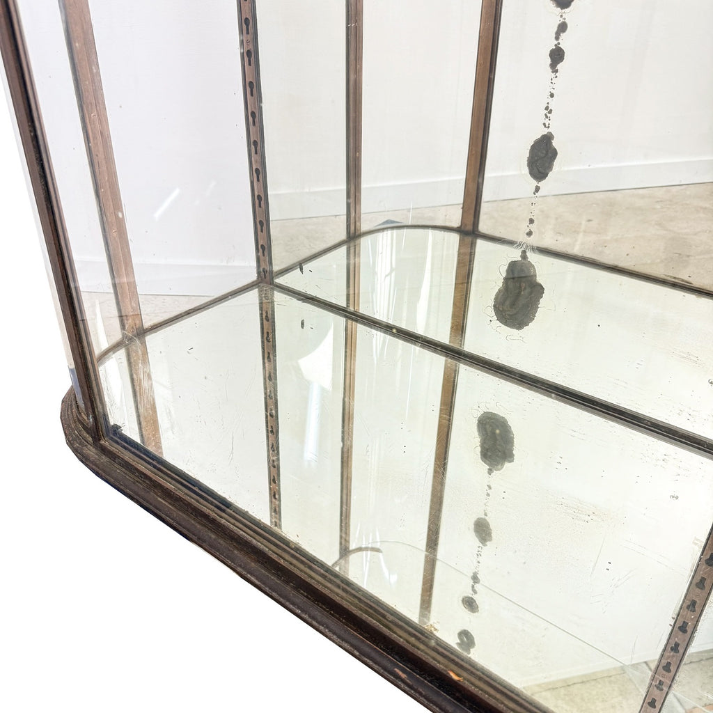 Large Antique Museum Display Cabinet with Curved Glass