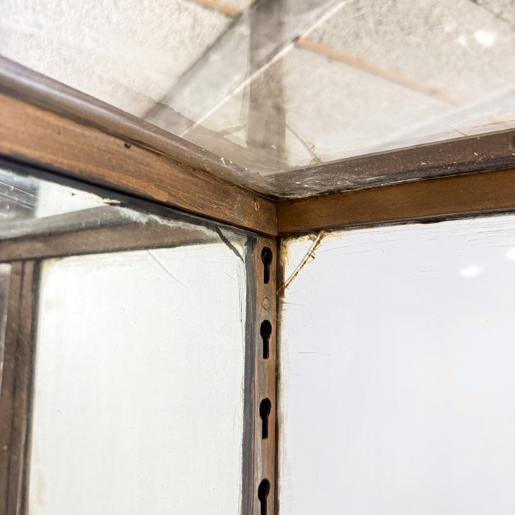 Large Antique Museum Display Cabinet with Curved Glass