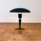 Vintage philips lamp by Louis kalff Model Bijou