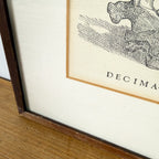 Vintage ingelijste anatomische illustratie van halswervels