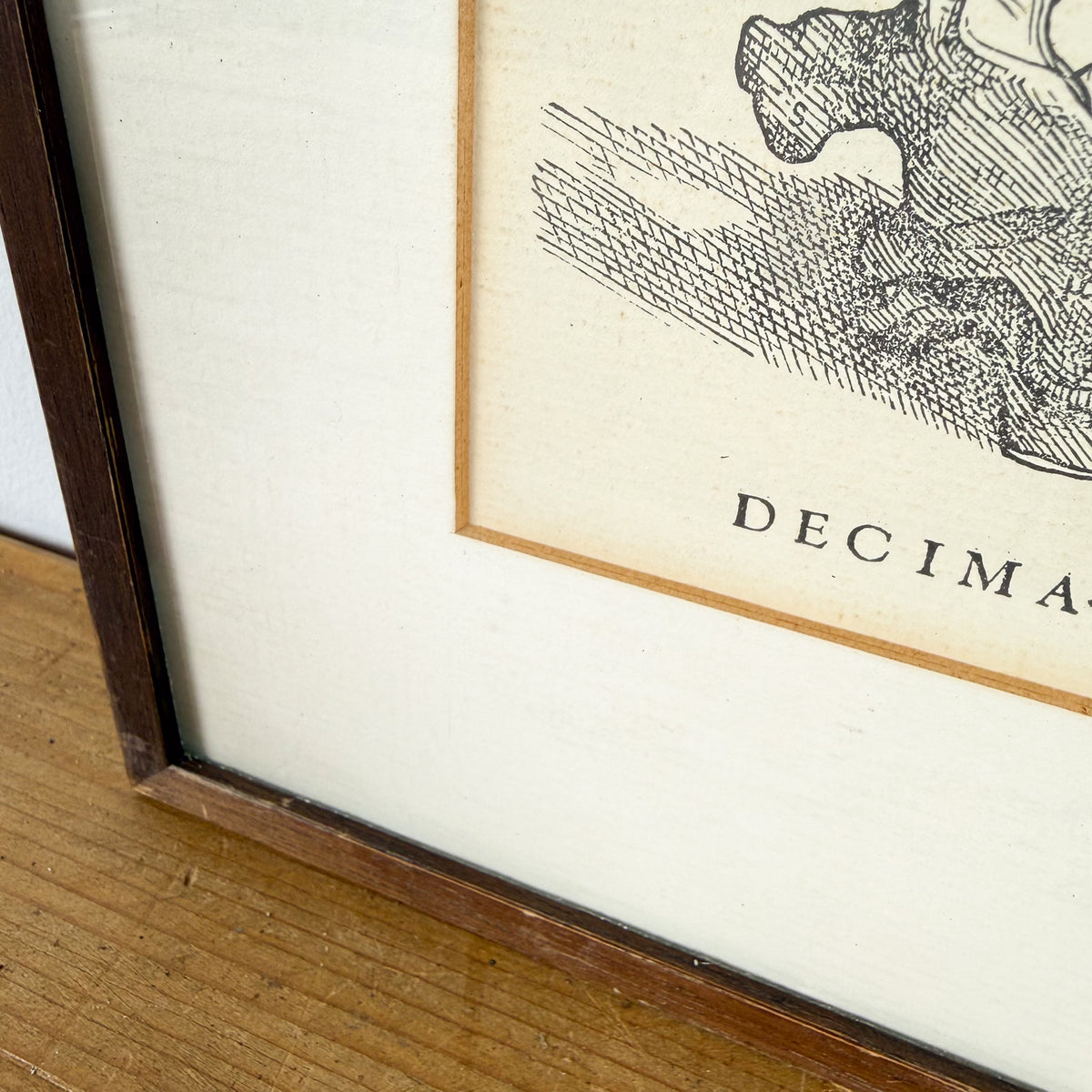 Vintage ingelijste anatomische illustratie van halswervels