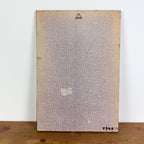 Vintage ingelijste anatomische illustratie van halswervels
