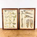 Set van 2 vintage Duitse anatomische orthopedische voetposters