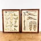 Set van 2 vintage Duitse anatomische orthopedische voetposters
