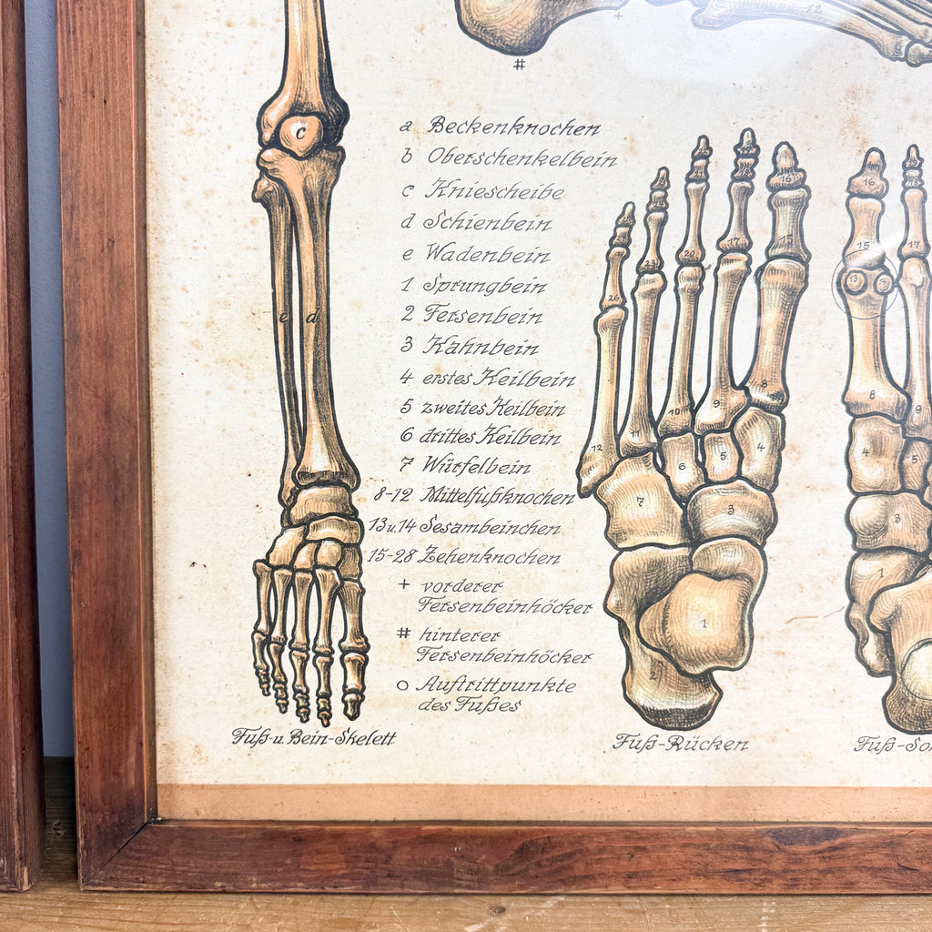 Set van 2 vintage Duitse anatomische orthopedische voetposters